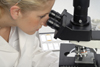 lab image