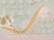 Strongyloides stercoralis image