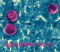 Cryptosporidium image