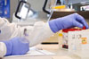 lab image