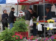 farmers market