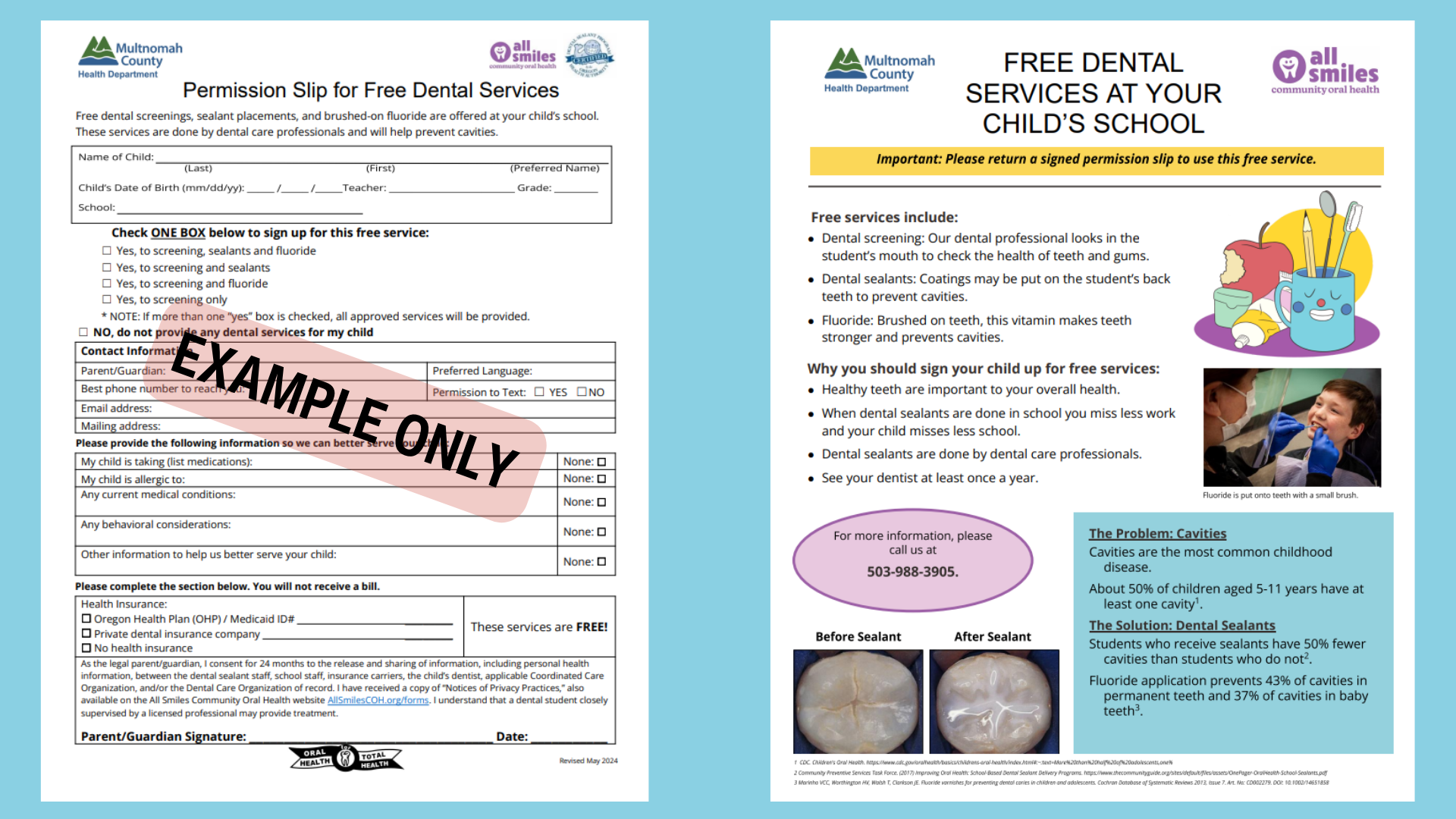 Permission slip and fact sheet example.png