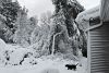 Winter snow storm