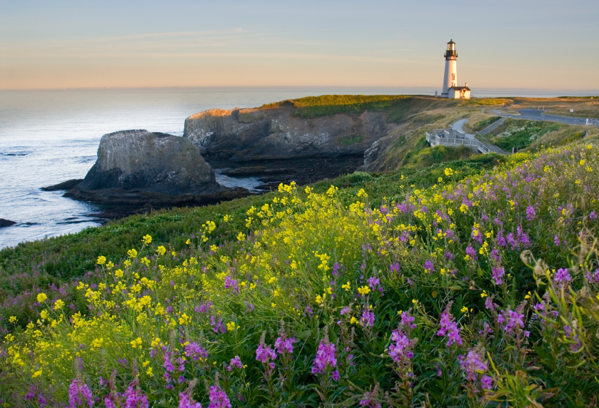 Oregon coast