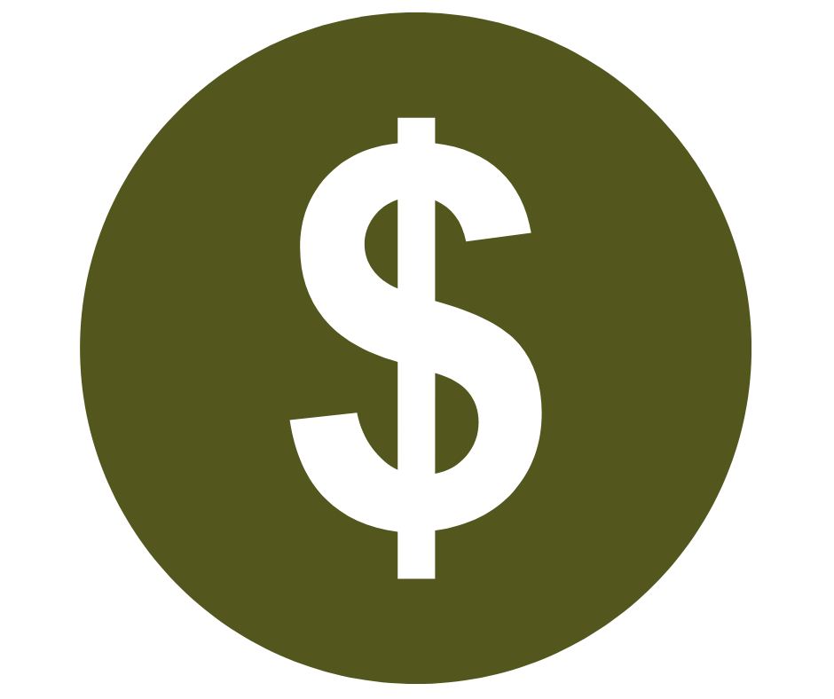 Fiscal Year Icon