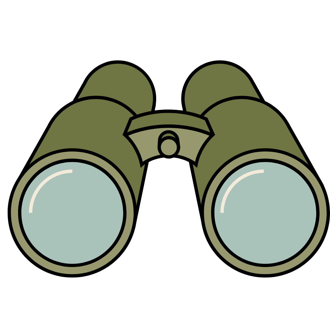 Webinar Icon