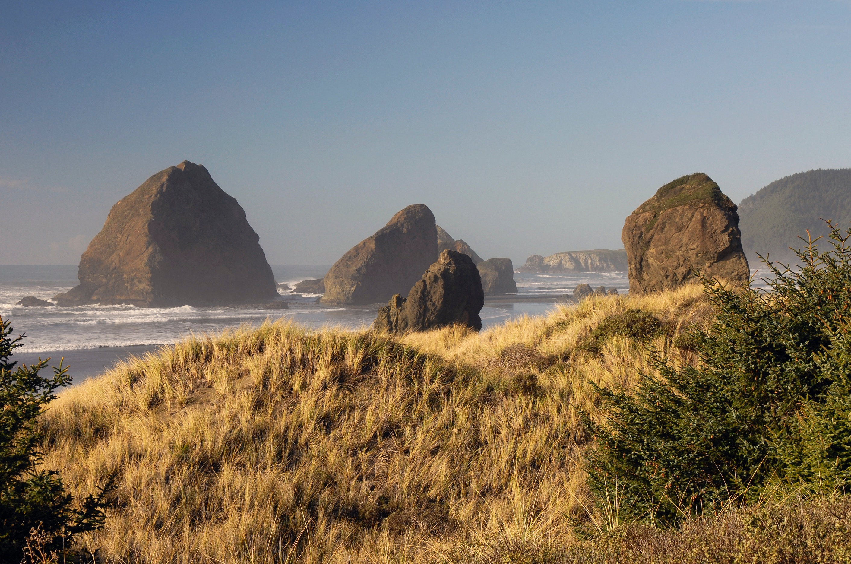 Oregon Coast