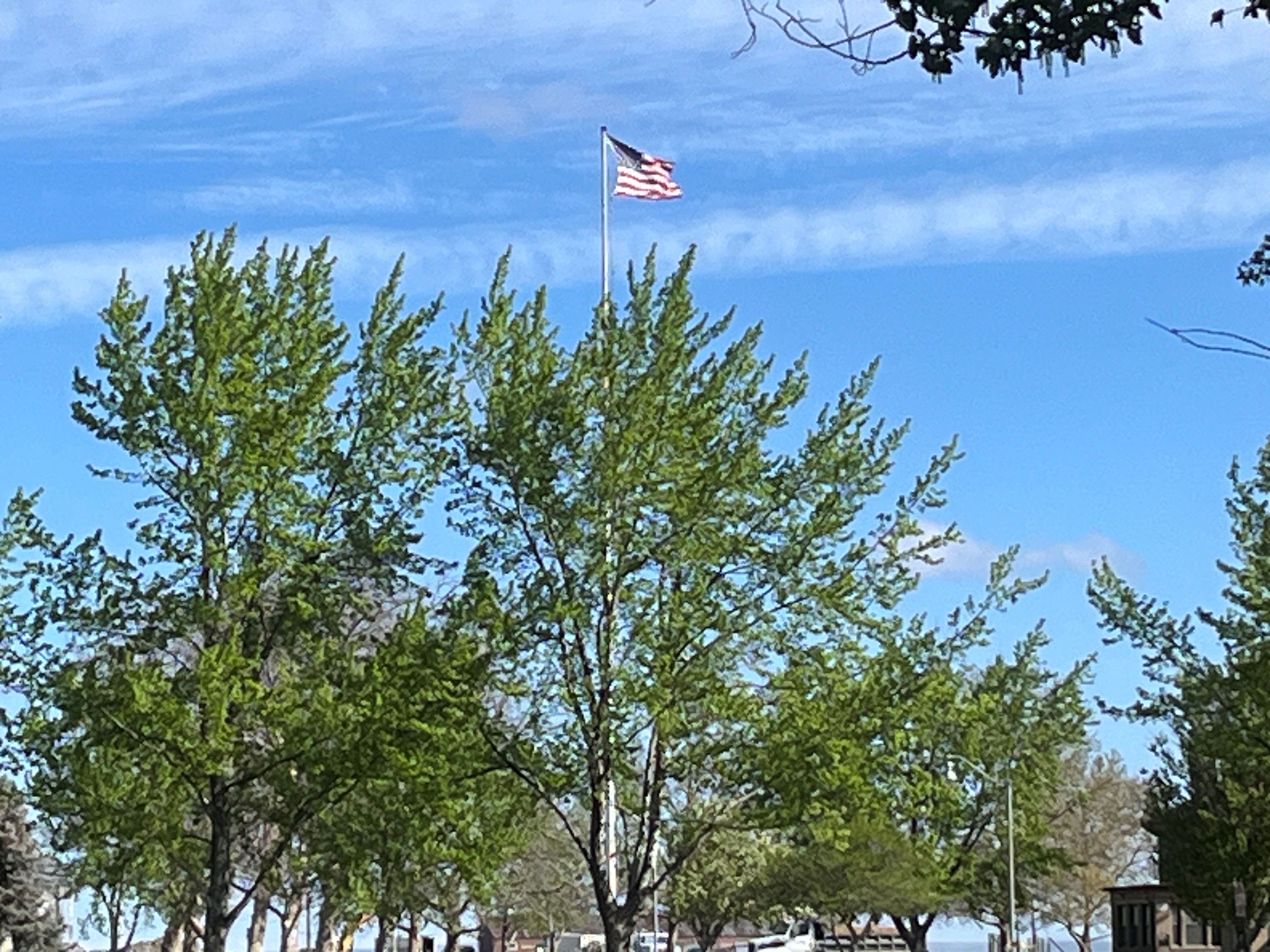 FLAG SHOT.jpg