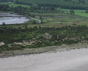 Aerial view of Sitka Sedge Marsh