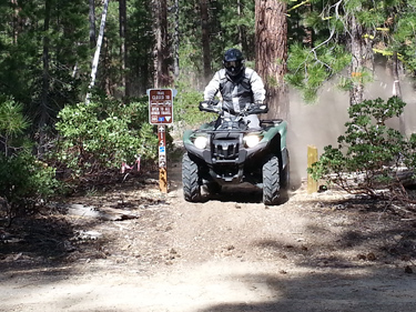 Person riding an ATV on a trail in the forest