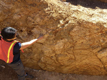 image of geologist inspecting road cut