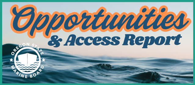 Opportunities Access Report_5.png