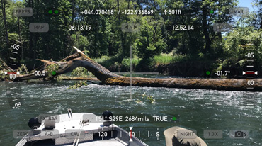 Old obstruction (fallen tree) near Bellinger Landing on the McKenzie River