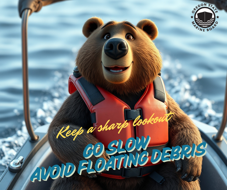 Keep a sharp lookout AI bear