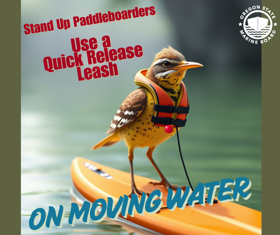Stand up paddleboarders wear a quick release leash AI meadowlark