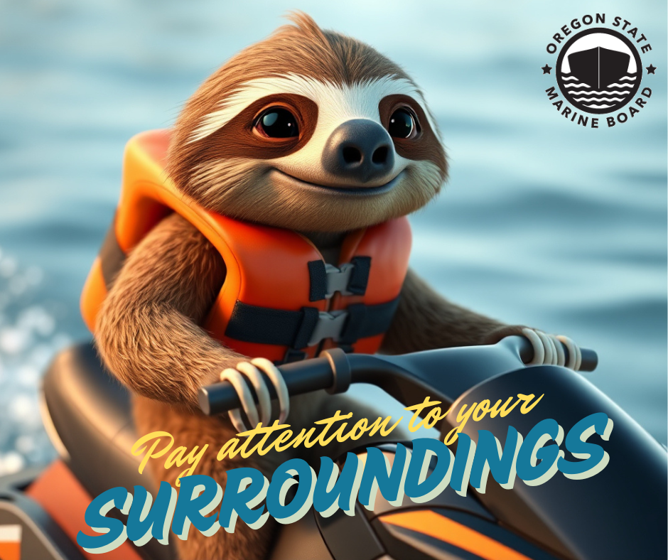 Pay attention AI sloth