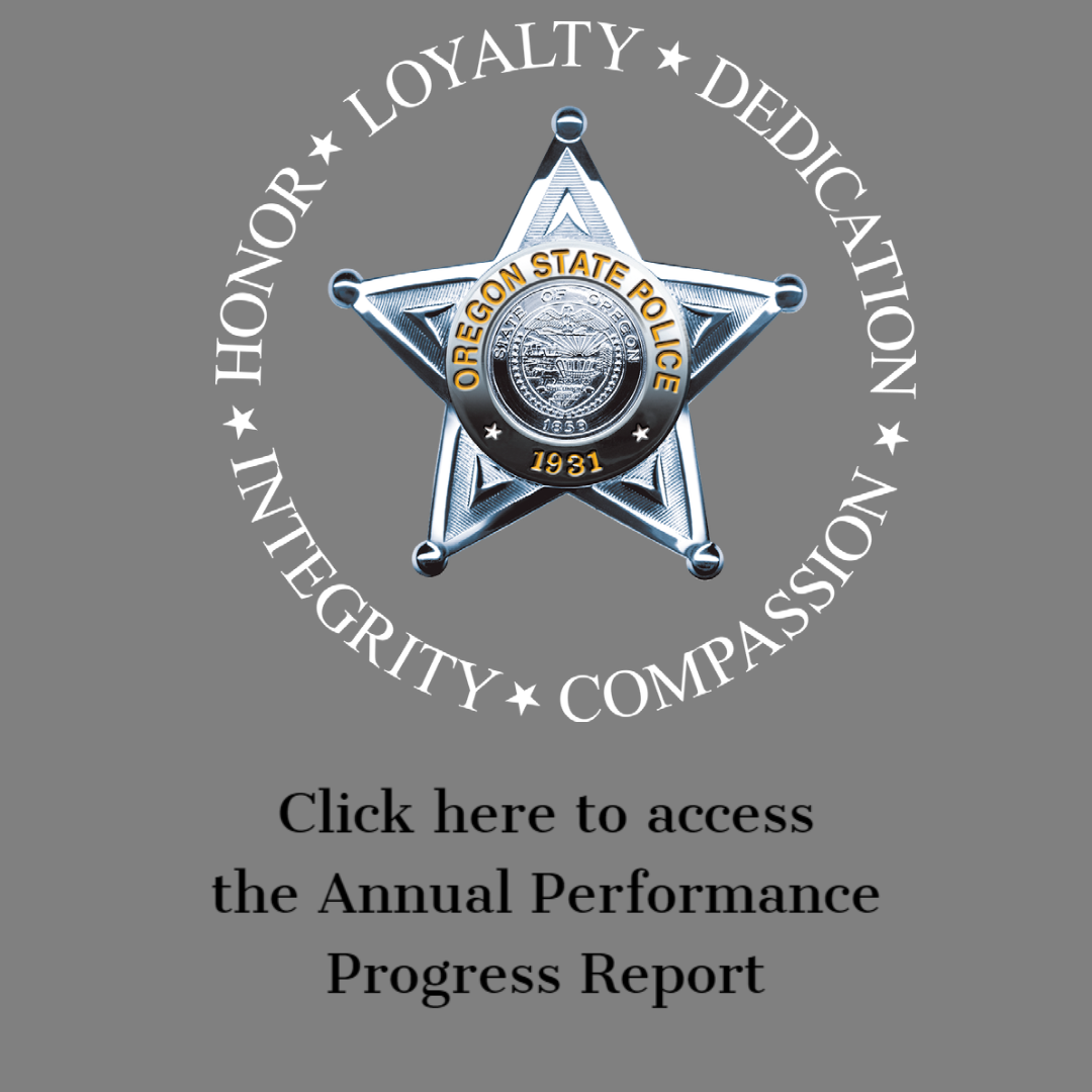 Download the Annual Performance Progress Report 2020