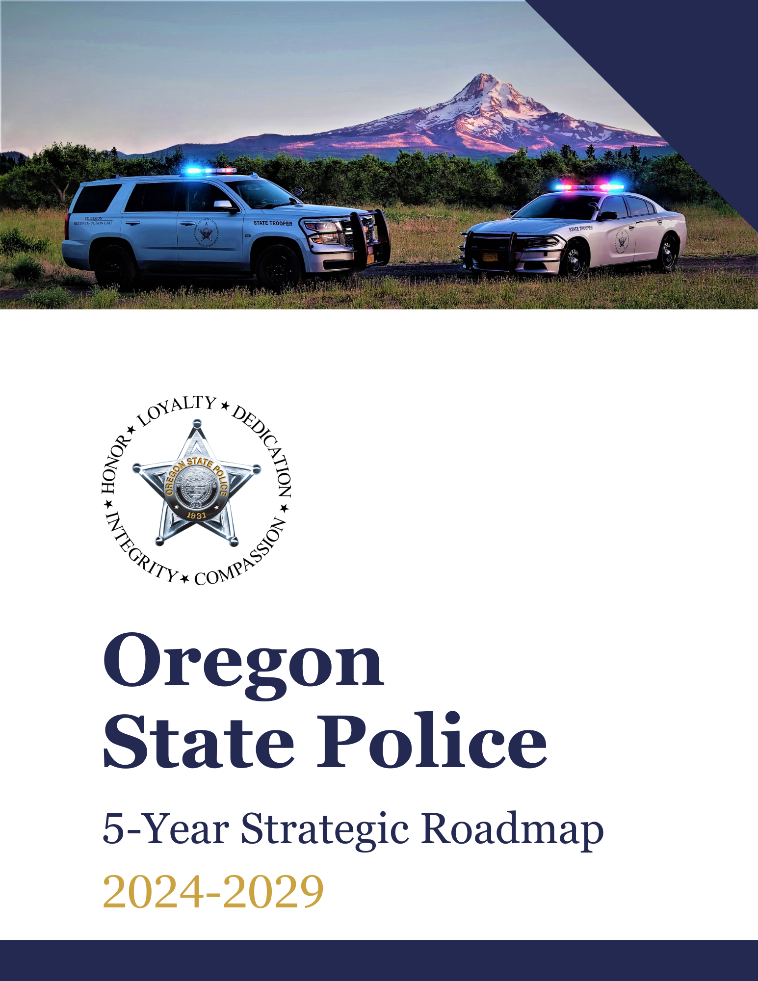 Download the 5-Year Strategic Roadmap