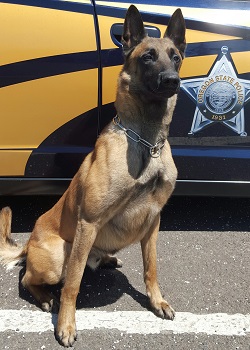K9 Nero