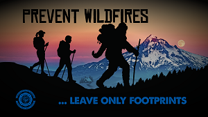 Bigfoot "Leave Only Footprints" Wallpaper