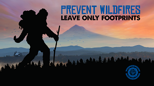 Bigfoot "When You're in our Hood" Wallpaper