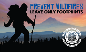 Bigfoot "Leave Only Footprints" Social Media Photo Image