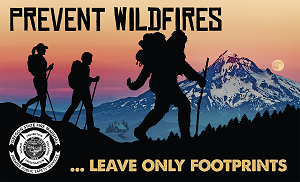 Bigfoot "Hikers" Social Media Photo Image