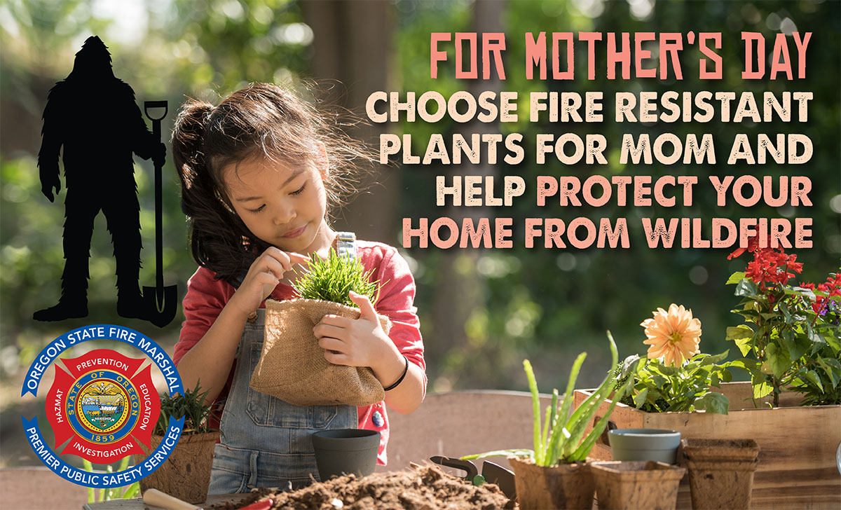 BigFoot_SM-MothersDay-Plants_2021.jpg