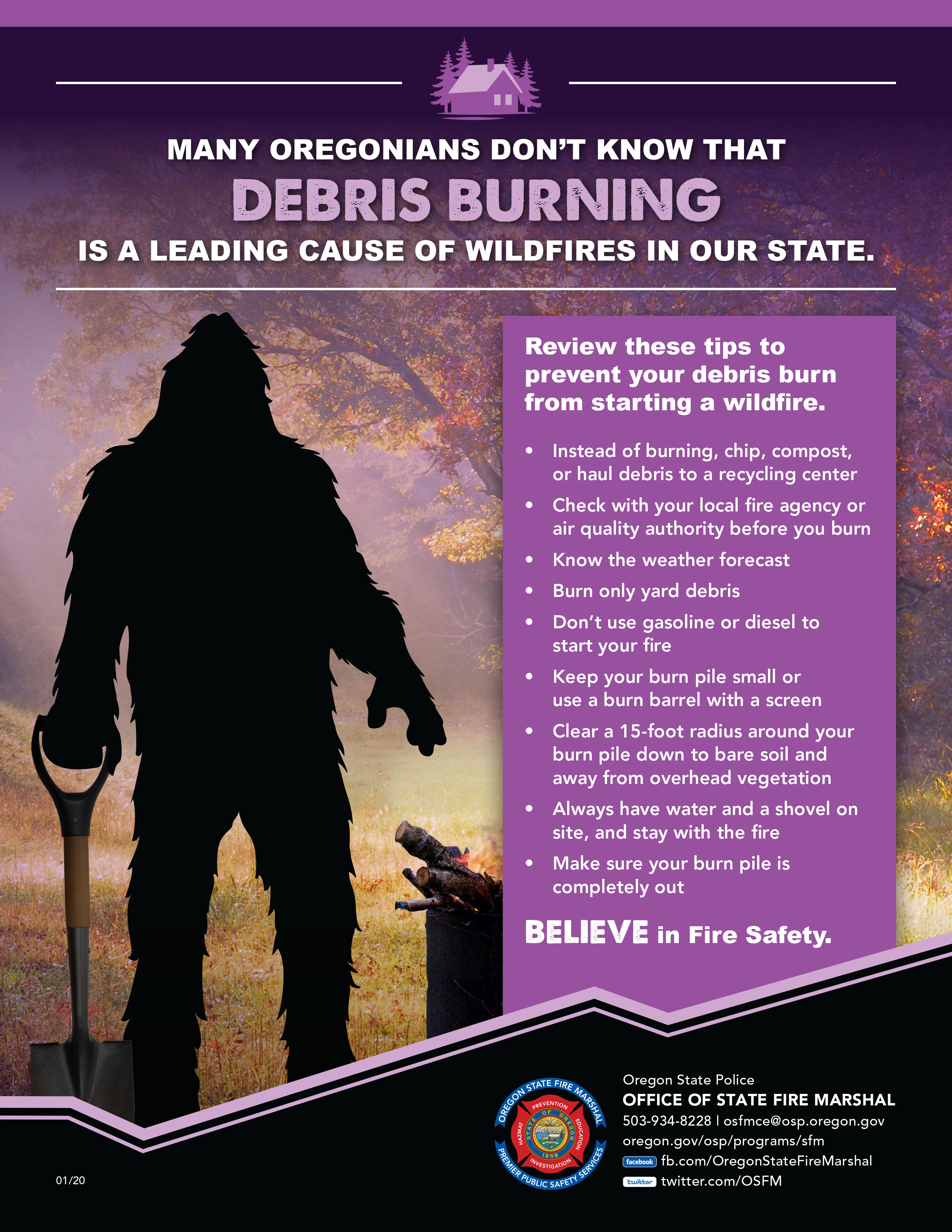 Bigfoot_Flyer-DebrisBurning_2020.jpg