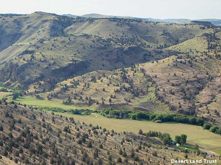 aerial view of Trout Creek on Priday Ranch