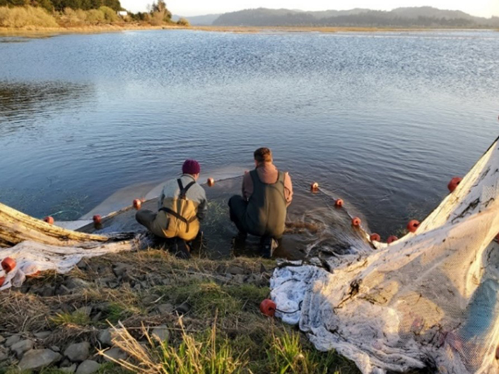 Winter Lake seine netting