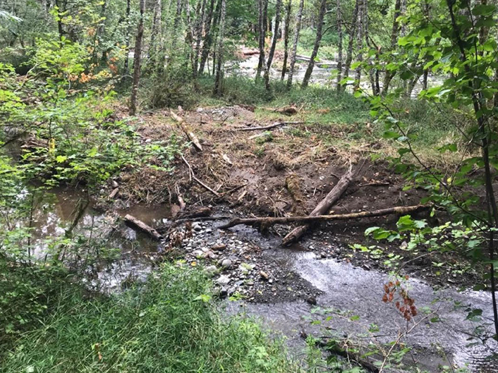 Sandy River looking across side channel
