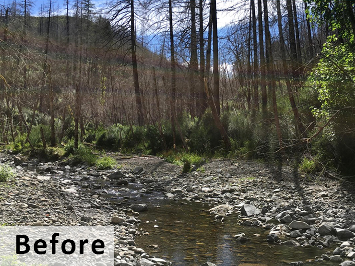 photo of Panther Creek after Chetco Fire