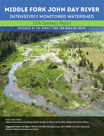 cover for the MFJDR IMW 2024 Report