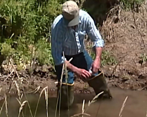 Man standing in Willow Creek