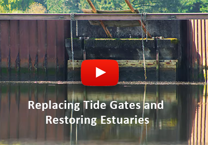 view of a functioning tide gate
