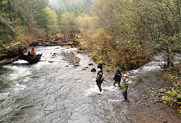 three people standing in a bend in the creek