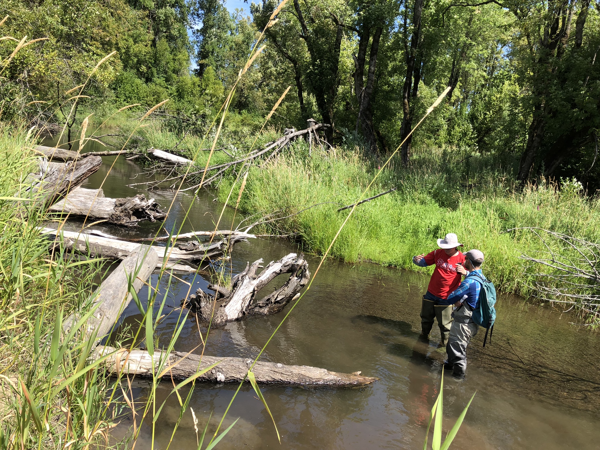 two people wading in a creek