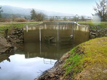 Tide Gate replacement