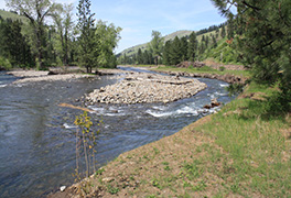 creek with gravel island