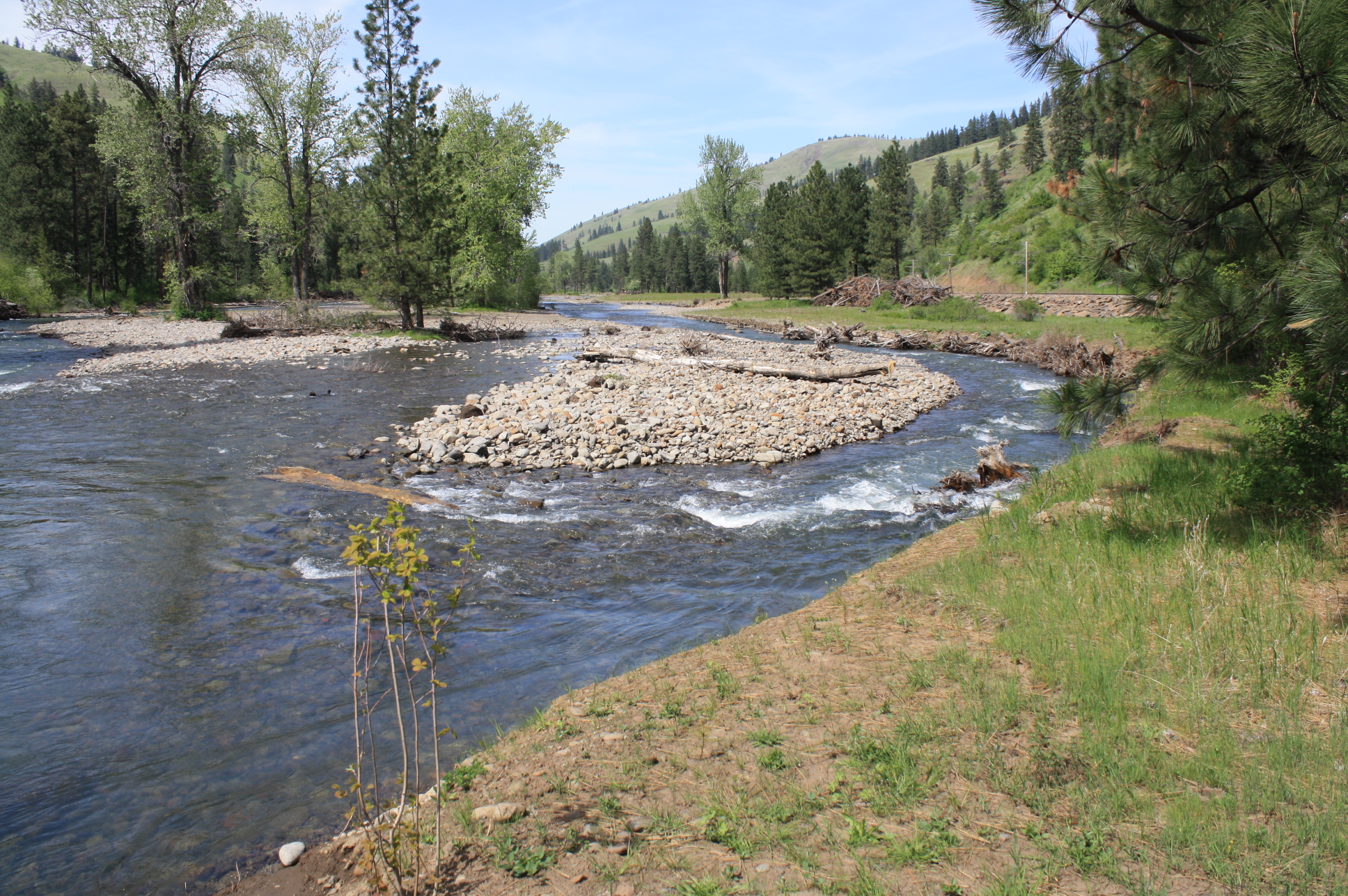 View upstream through diversion, after project
