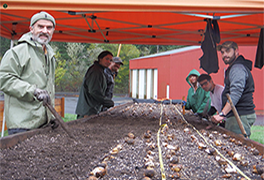 five people standing around a raised bed, planting bulbs