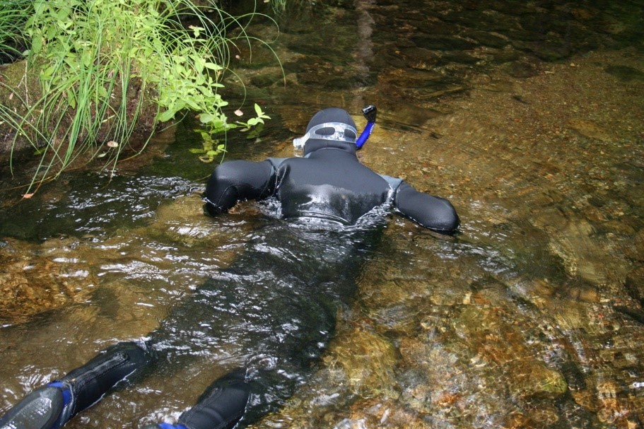 Sampling in Willow Creek