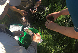 People gathered around a bucket
