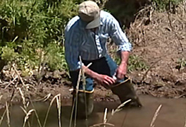 person in wading in the water with boots and a water sample in hand