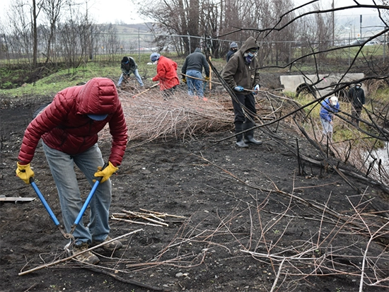 group of community members trimming brush alongside a stream
