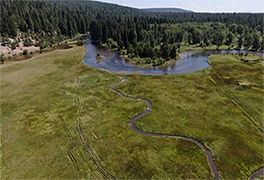 aerial view of creek winding through grassy field