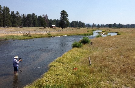 Staff taking a measurement in a stream