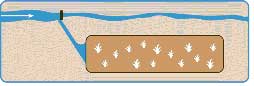Diagram showing a downstream change in POD (a)