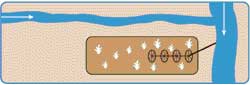 Diagram showing a downstream change in POD (d)